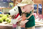 FLASH SALE! Carowinds Single Day Tickets – 51% Off