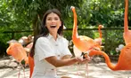 END OF SUMMER SALE! Busch Gardens Tampa Ticket Deals - Save Up to 62%