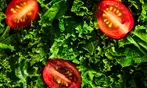 Factor Healthy Meal Delivery Deal with Big Savings!