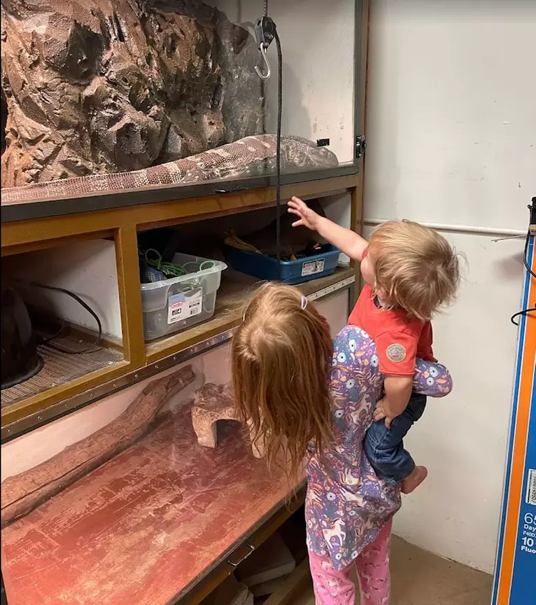 Interactive Reptile Zoo Admission: Snakes, Lizards, and Tortoises!