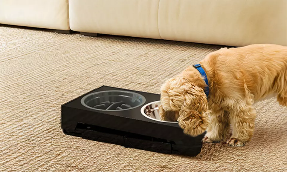 Skylos Smart Pet Feeding Solutions