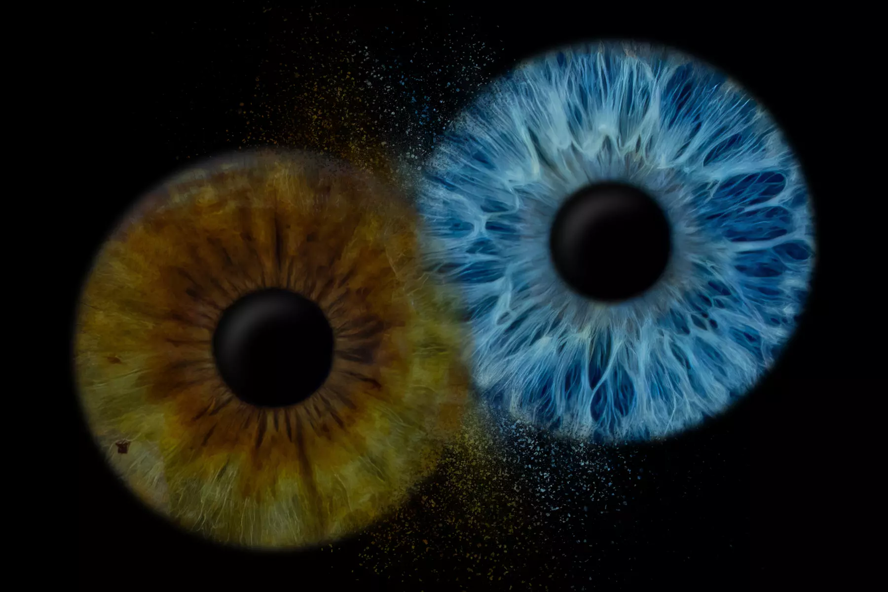 Odkryj magię spojrzenia: zdjęcia Twojej tęczówki w artystycznej formie