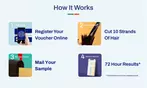 Up to 79% Off Food Sensitivity & Gut Health Testing