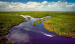 Everglades Airboat Tour Deals & Discounts