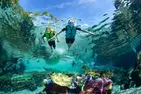 SPECIAL OFFER! Discovery Cove Day Resort – Orlando's #1 Theme Park