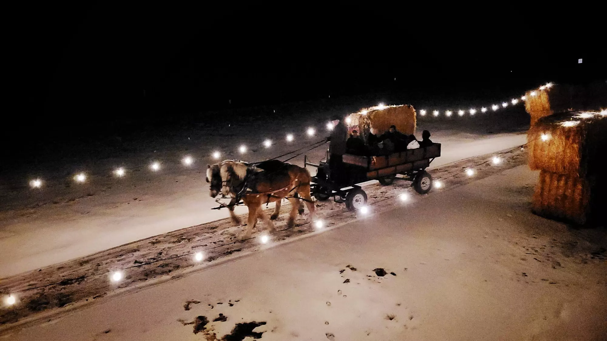 Lost in Christmas Admission to Shindig Farms