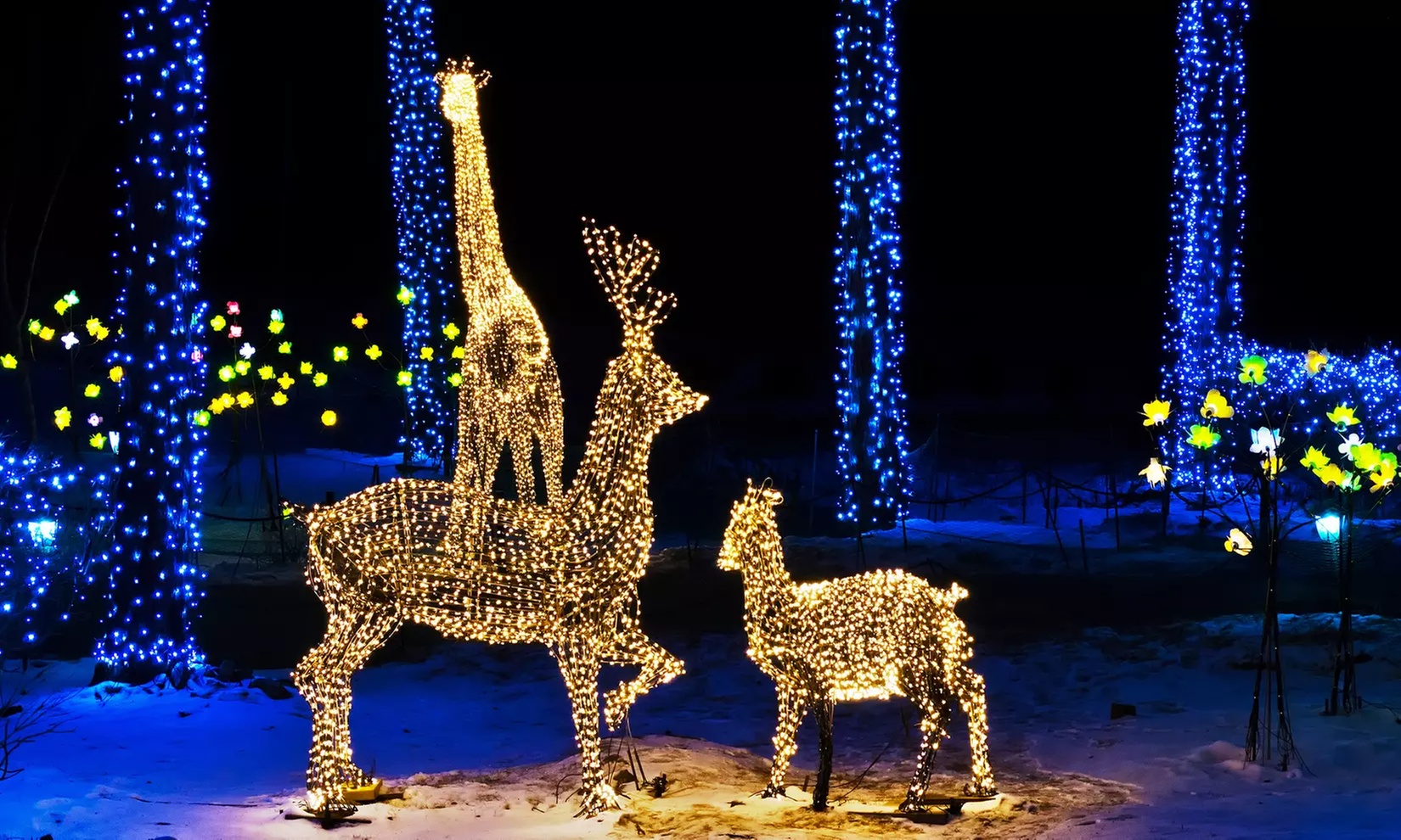 Celebrate The Holidays at the Night Of Lights At Heritage Park: Adult or Child Admission Passes (Up to 25% Off)