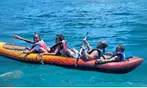 Honolulu Snorkeling Tour Deals - 3 Hour Turtle Adventure with Gear Included!