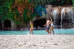 SPECIAL OFFER! Discovery Cove Day Resort – Orlando's #1 Theme Park