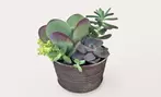 ProFlowers Deal: Same-Day Plant Delivery Discount Up to 45% Off