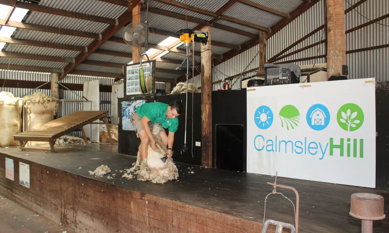 Full-Day Farm Fun: Child, Adult and Family of 5 Entry Options