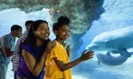 END OF SUMMER SALE! Save 59%! SeaWorld Orlando Tickets