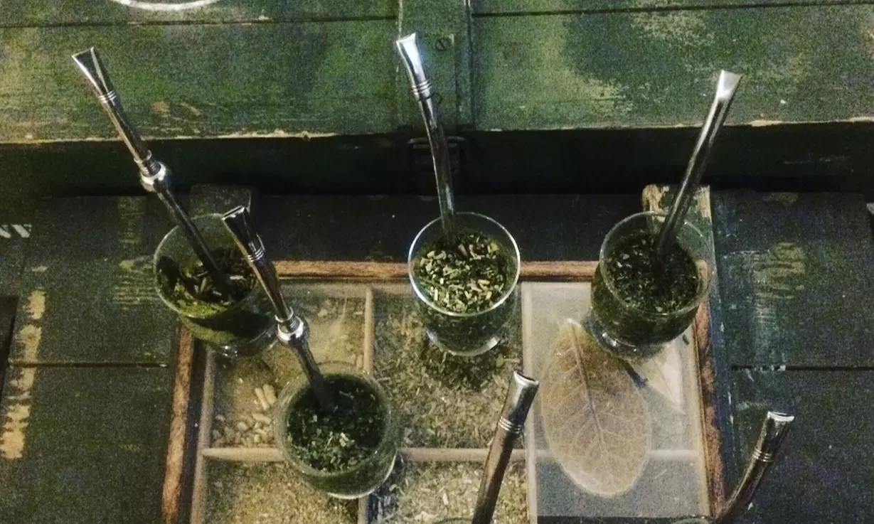 Mate-Teeseminar inkl. Verkostung und 15% auf dem Shop