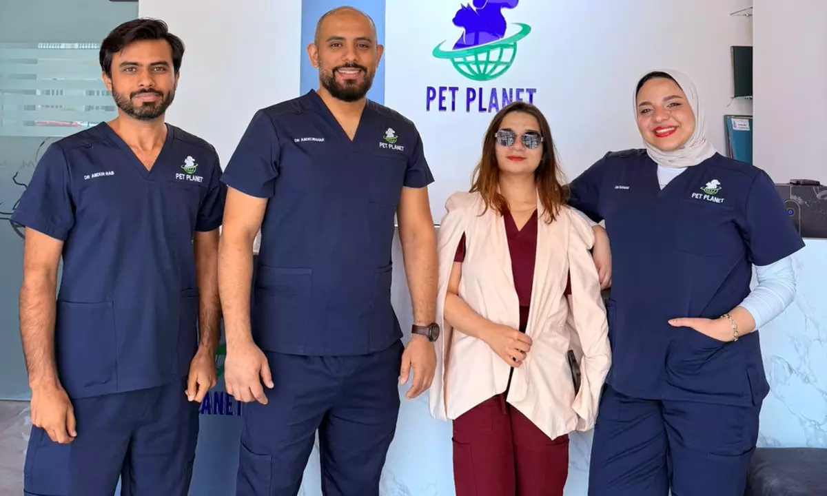 Full Grooming for Cat or Small Dog, Medium or Large Dog