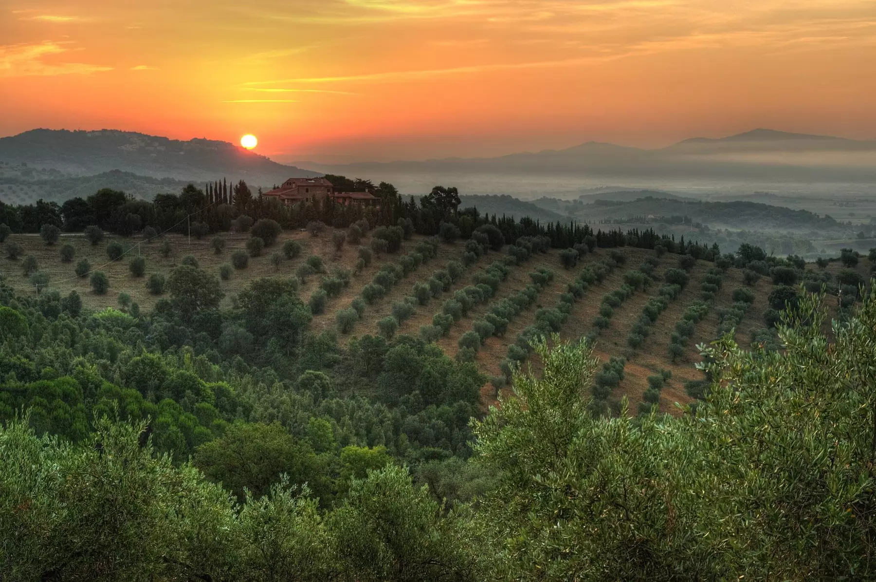 Maremma 4*: soggiorno con colazione o mezza pensione, aperitivo e Spa