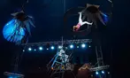 Circus Vegas (6th July - 30th August, 2026) - Up to 56% Off