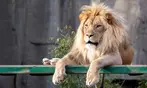 CityPASS- Save up to 45% on Admission to Top San Francisco Attractions