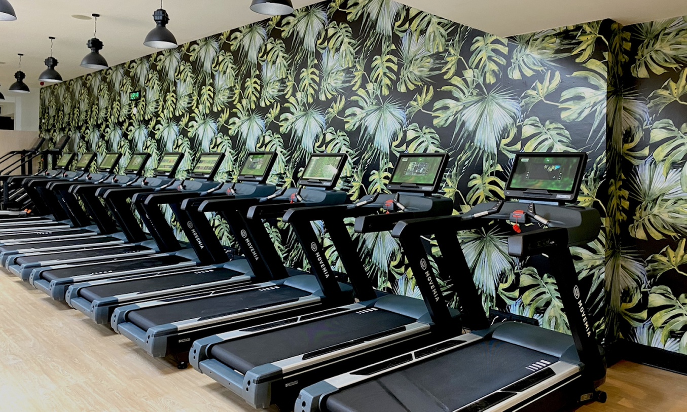 1, 3 o 6 meses de acceso a BeFit Valencia