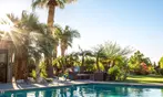 The Spring Resort: Massage, Scrub & Champagne Spa Experience