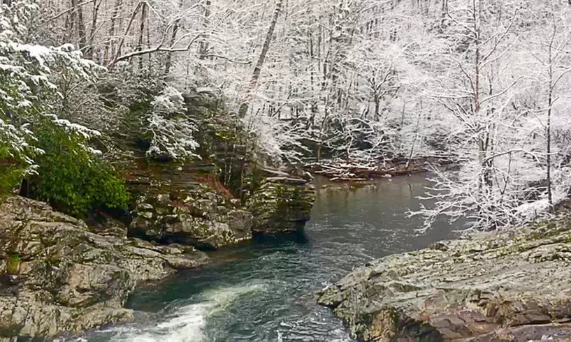 Resort With Attractions Near Great Smoky Mountains National Park