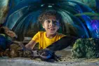 ICON Park Attraction Deals - Madame Tussauds, SEA LIFE, Orlando Eye
