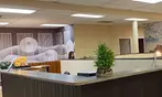 60 or 75-Min Hot Stone, Cupping Therapy, Body, Foot Massage & More
