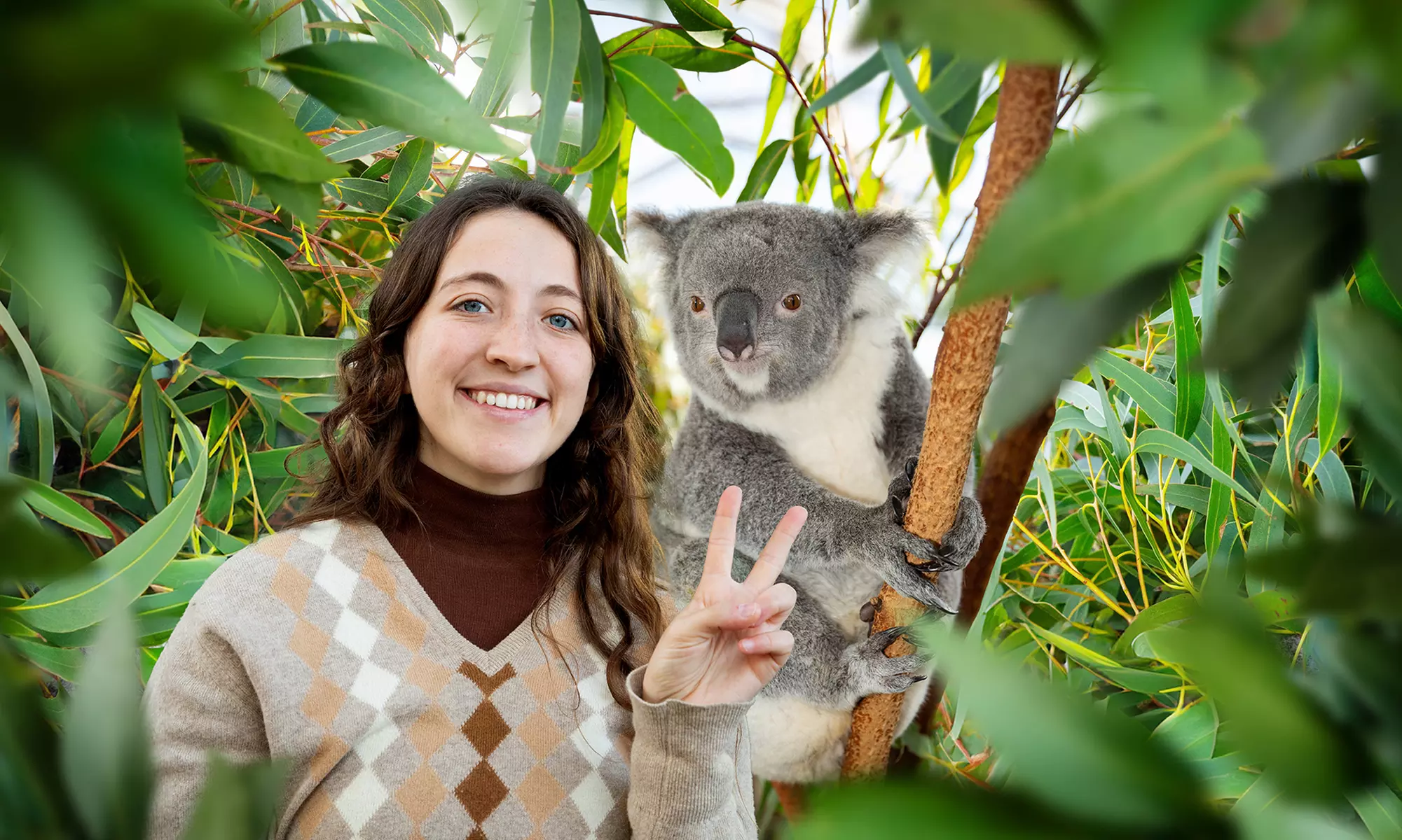 Visit any 4 Top Attractions: Sea Life Sydney, Madame Tussauds & More