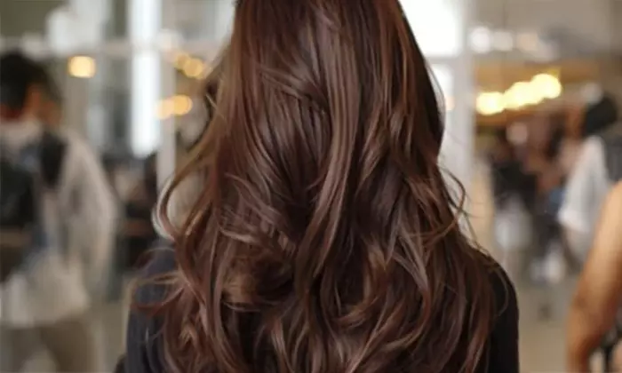 Hairwash, Haircut or Hairspa with Cut & Blowdry with Optional Services