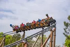 FLASH SALE! Carowinds Single Day Tickets – 51% Off