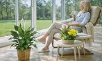 Great Discounts on All Plant Arrangements - No Restrictions!