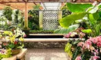 Admission to Atlanta Botanical Garden – Midtown Urban Oasis