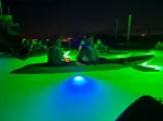 Sharkey's Glass Bottom Kayak Night Tour with Fish Feeding