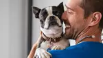 For All Pet Lovers: Online Single Course, 3‑Course or 5‑Course Bundle