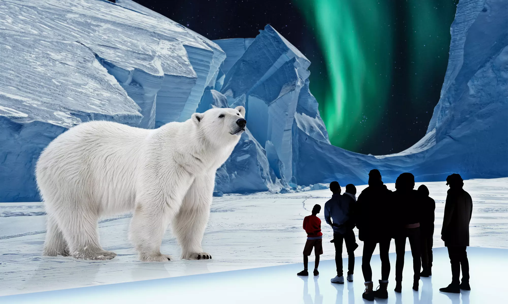 Ticket für „POLAR EXPERIENCE“ im Dezember und Januar in Berlin
