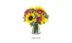 Flowers-Vase-Delivery Included on All Seasonal Arrangements