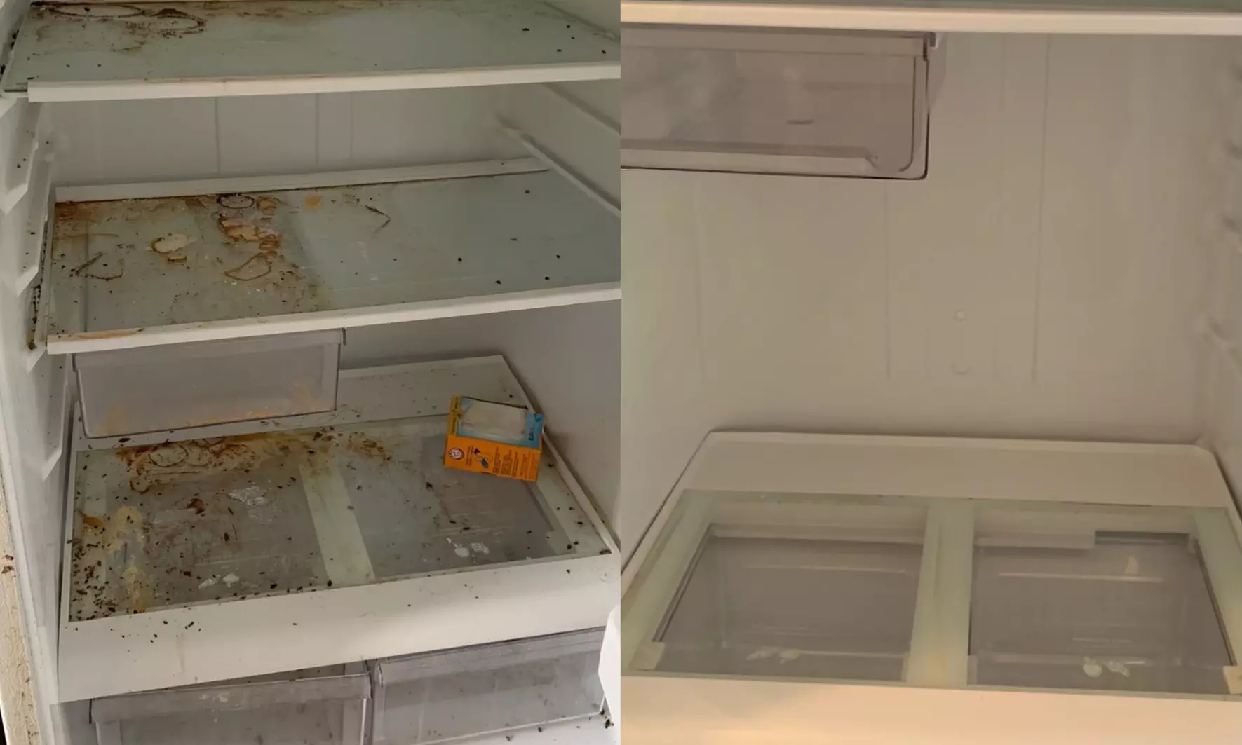 Up to 55% Off on Oven Cleaning at Sunflower Home Services LLC