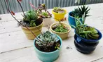Pottery Class Deals & Discounts with Supplies
