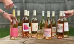 Rosé Wine - 18-bottle Bestselling Rosé Collection from Swirl Wine Shop