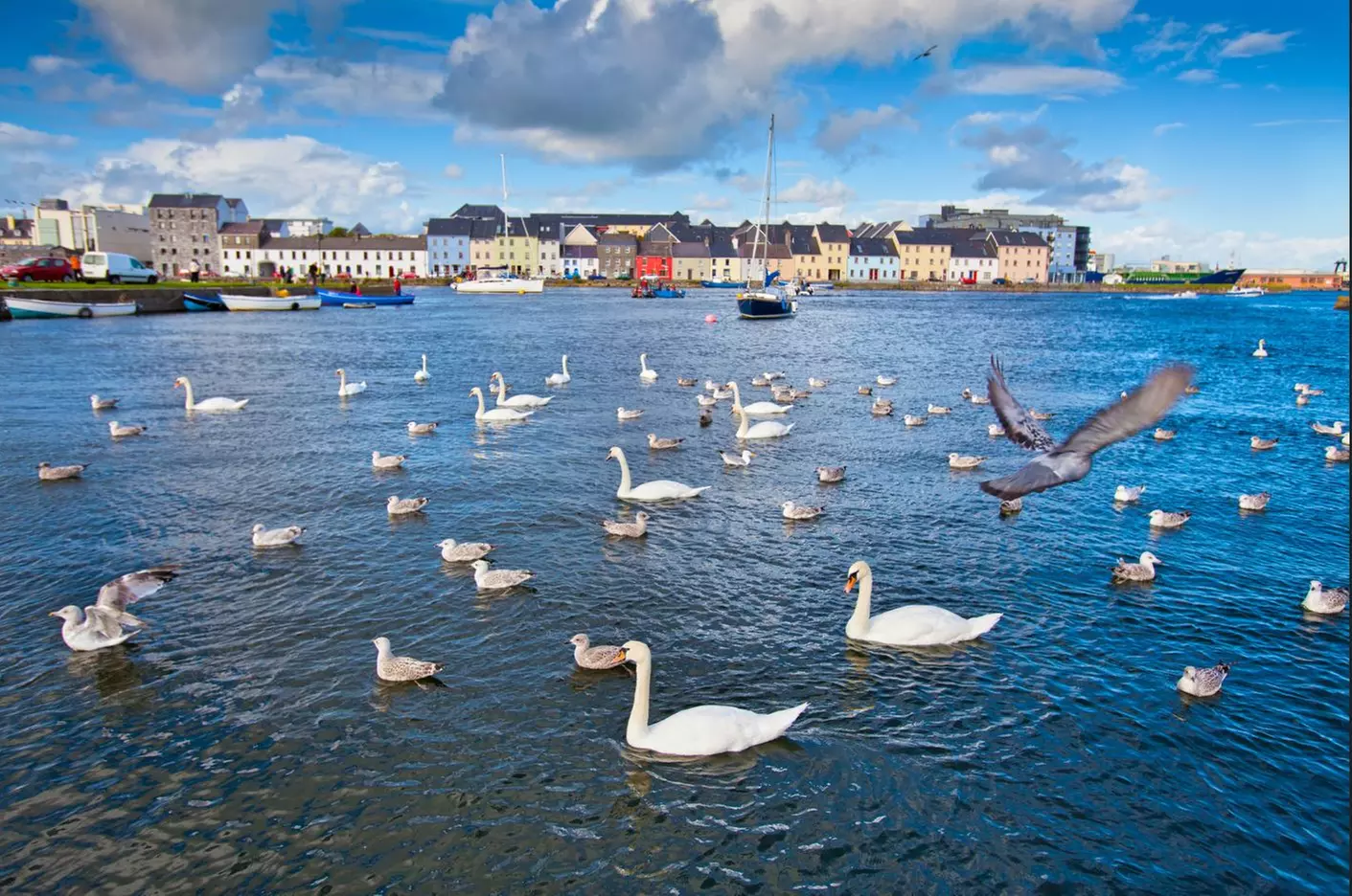 ✈ 8-Day Dublin, Belfast, Galway & Letterkenny Vacation with Air