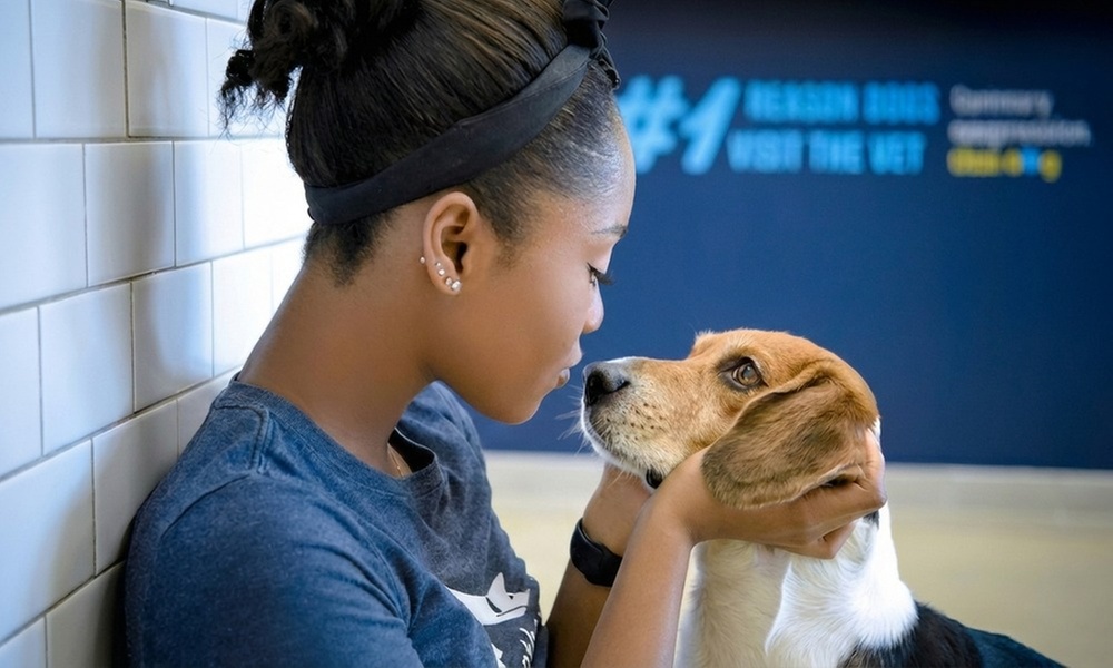 Nail Clip to Full Pet Hygiene & Blow-Dry Care