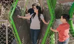 San Antonio Zoo Discount Tickets & Savings!