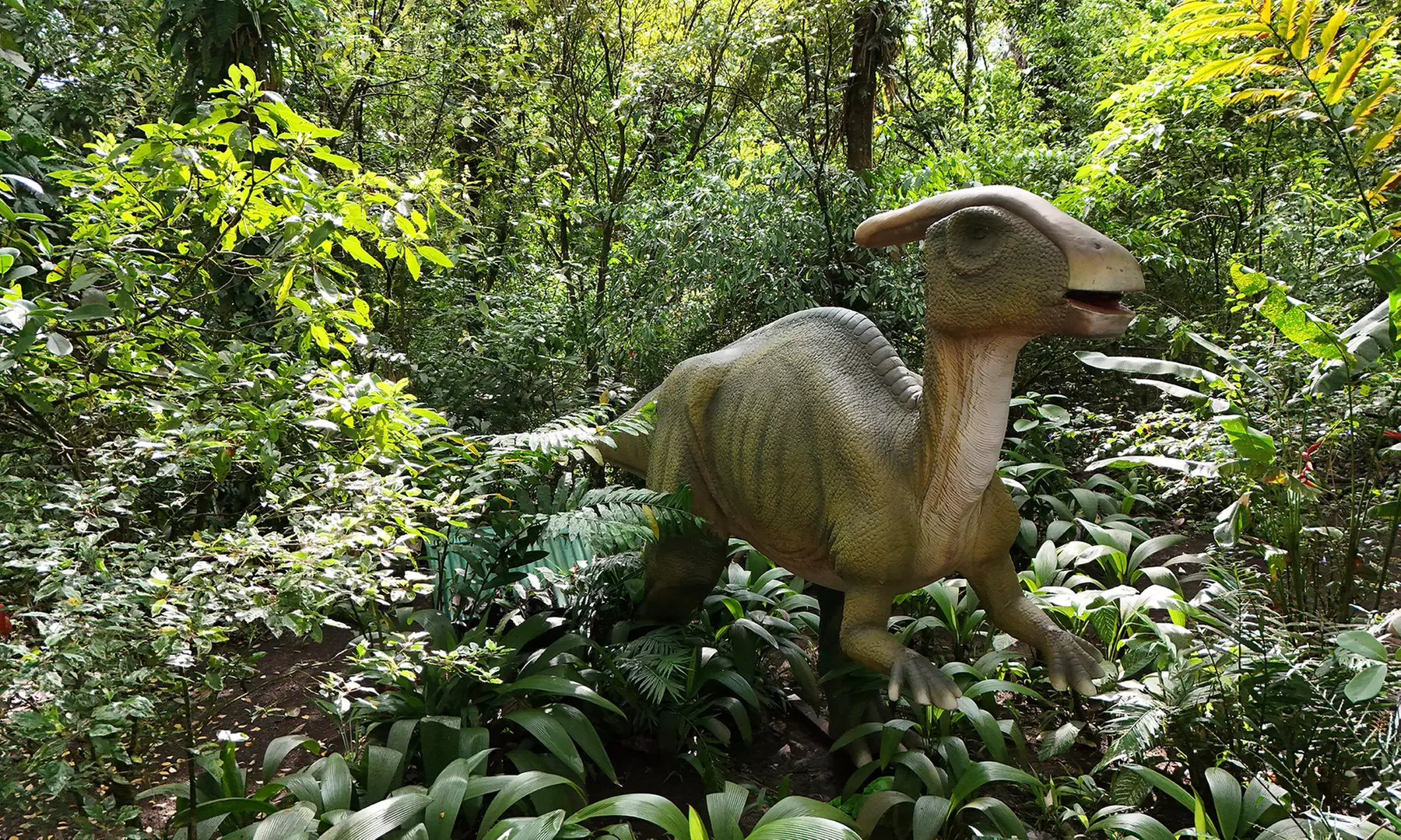 Member-Only Deal: Blue River Resort & Hot Springs