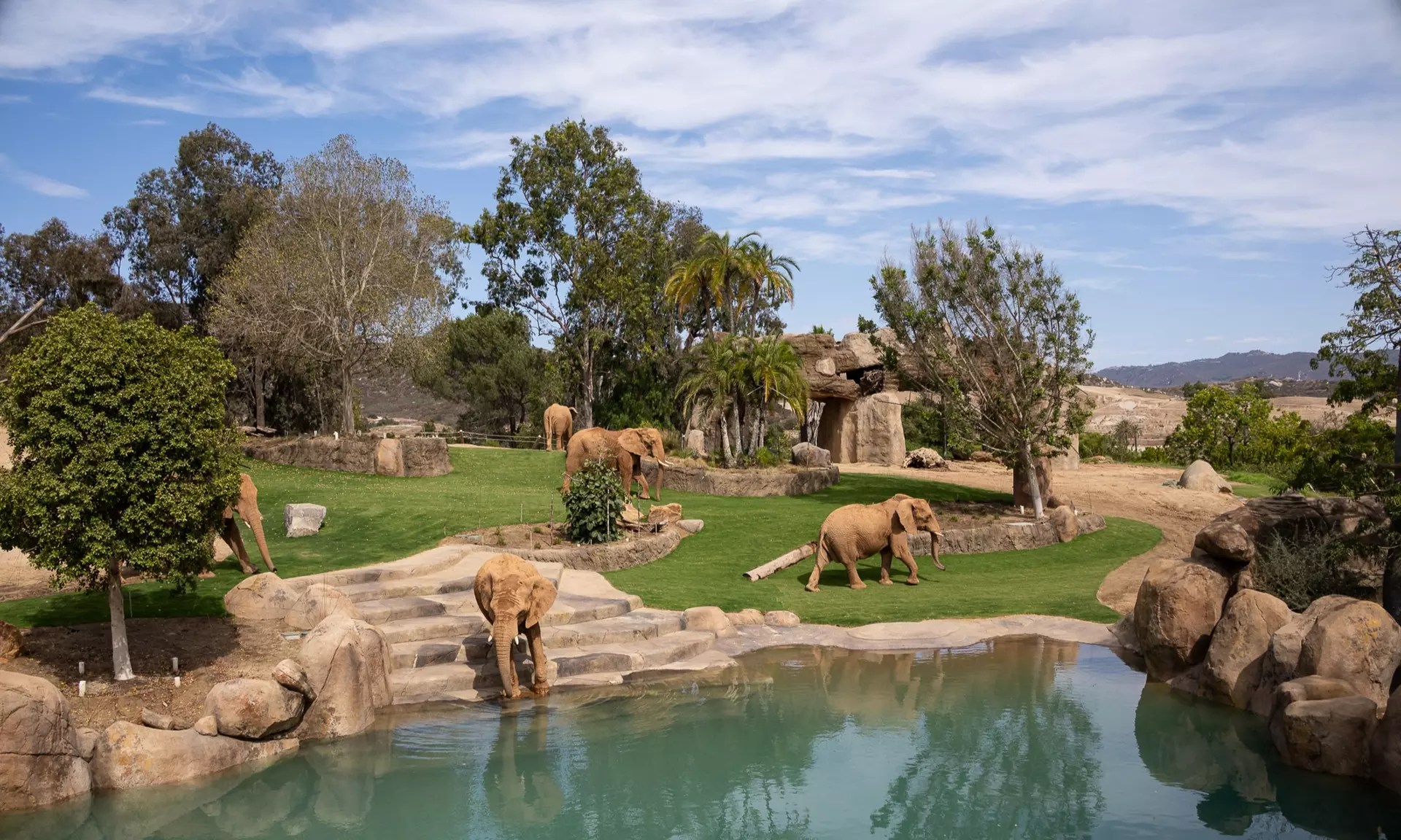 San Diego Zoo Safari Park Tickets