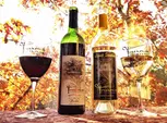 Wine Not? Taste the Essence of North Carolina on Wine Tasting!