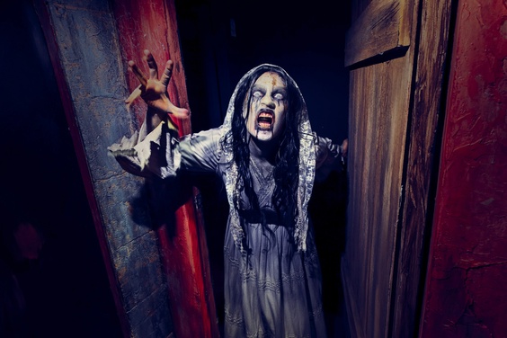 After 2PM Daytime Park Admission + Halloween Horror Nights