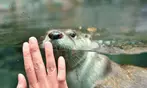 Aquarium of the Bay Ticket Deals & Discounts