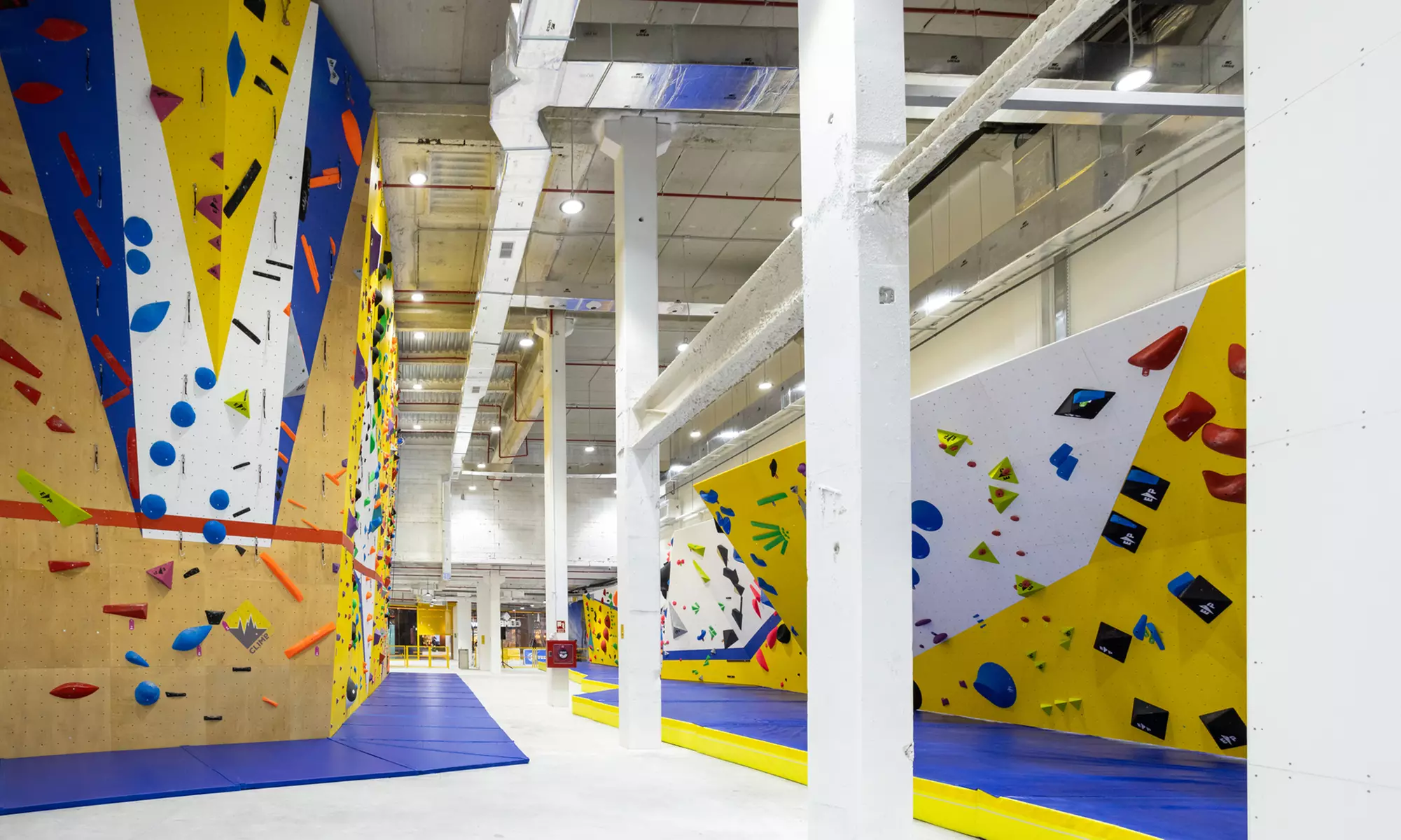 ¡Escala sin límites! Acceso libre a rocódromo para niños o adultos