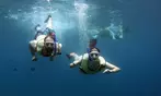 Experience Oahu's Magical Sunset Snorkel Cruise with Dolphins & Dinner