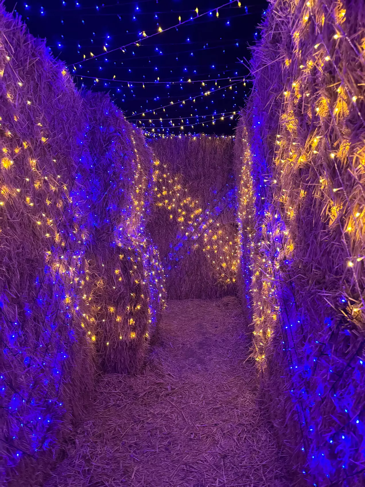 Lost in Christmas Admission to Shindig Farms