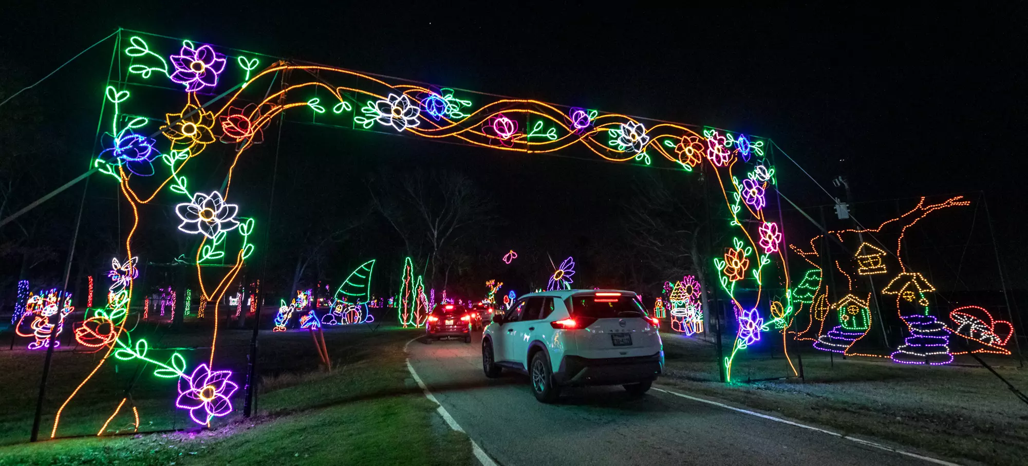 Entry to Branson's Premier Drive-Thru Christmas Lights Show